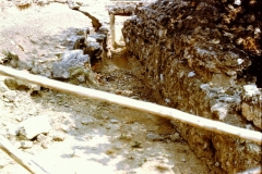 My beautiful picture