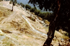 My beautiful picture