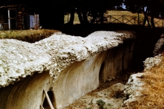 My beautiful picture