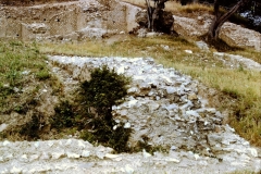 My beautiful picture