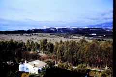 My beautiful picture