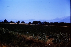 Greece - 1962