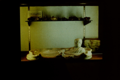 Spertus-37