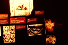 Spertus-28