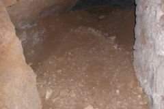 NDL-13