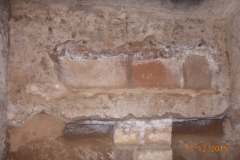 NDL-19