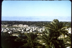 2308