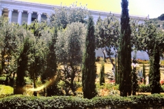 Israel