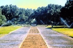 Galilee - Israel - 1962