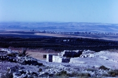 Galilee - Israel - 1962