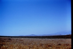 Galilee - Israel - 1962