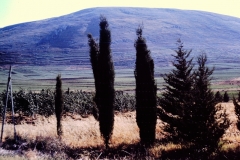 Galilee - Israel - 1962