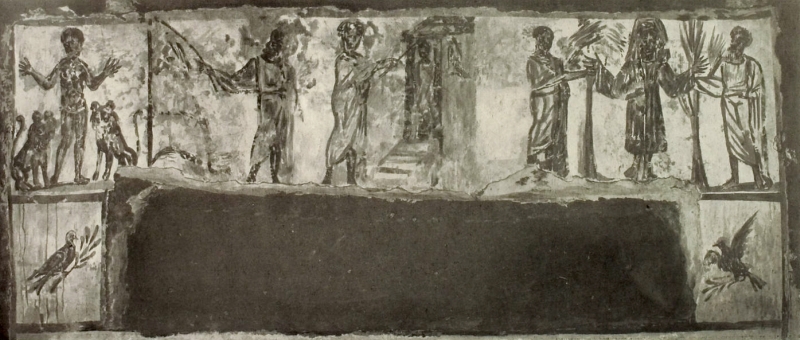 Plate-219.2
