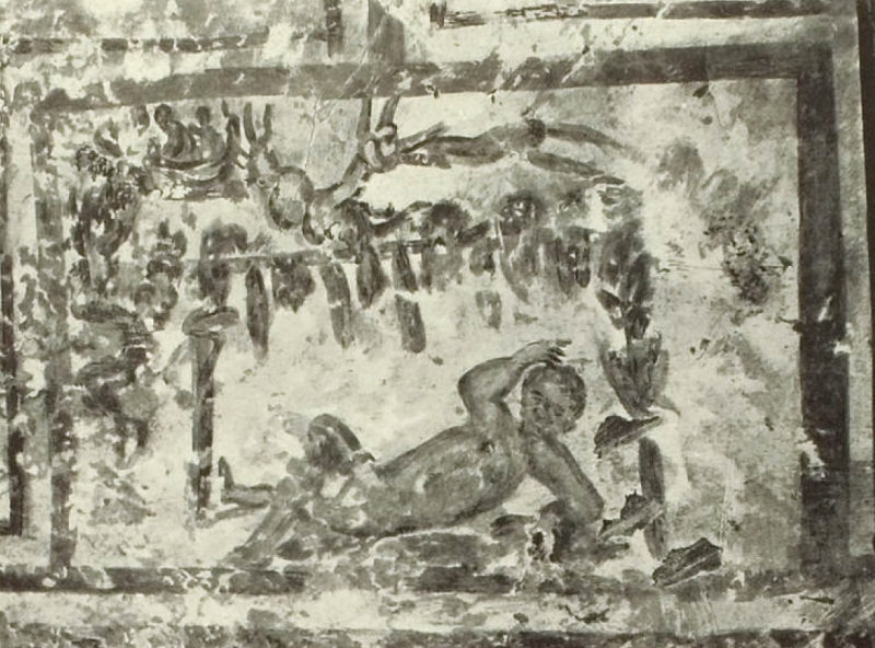 Plate-224.1