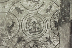Plate-203
