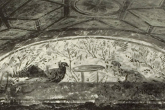 Plate-211.2
