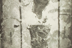 Plate-77.3