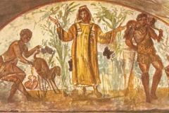 Plate-117.1