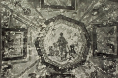 Plate-151