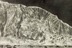 Plate-155.1