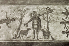 Plate-169.2