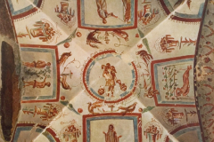 Plate-171