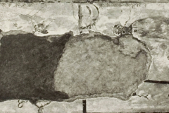 Plate-178.3