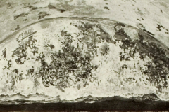 Plate-249.1