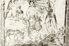 Plate-259.2