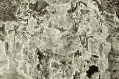 Plate-260.1