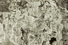 Plate-260.1