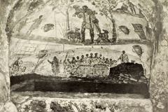 Plate-265