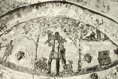 Plate-266
