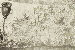 Plate-267.3
