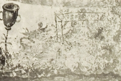 Plate-267.3