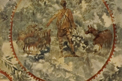 Plate-51.1