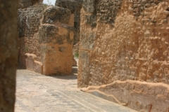 IMG_2653