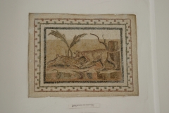 IMG_2886