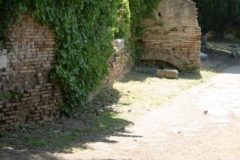 IMG_1974