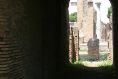 IMG_2089