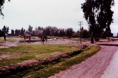En route to Amse- High Atlas - Morocco - 1972