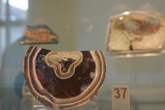 Glass display-17