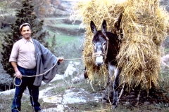 Palazzolo Acreide - Sicily