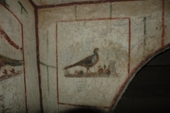 Randanini-slideshow-67