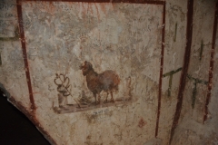 Randanini-slideshow-71