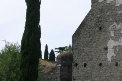 IMG_1808