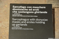S. Maria Antiqua-237