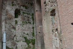 S. Maria Antiqua-261