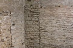 Crisogono-lower part-15