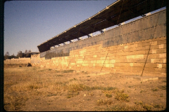 1956